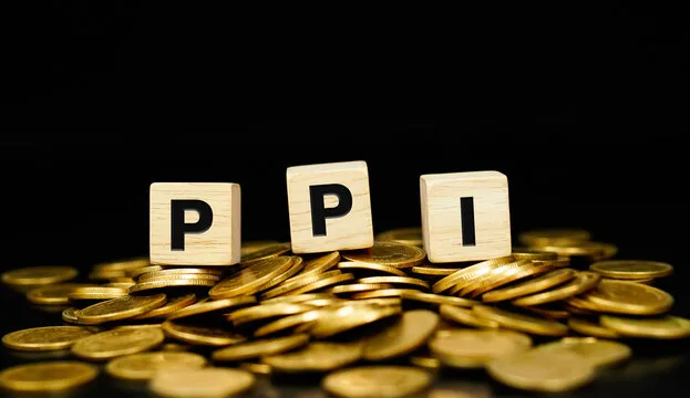 Data PPI AS 2025